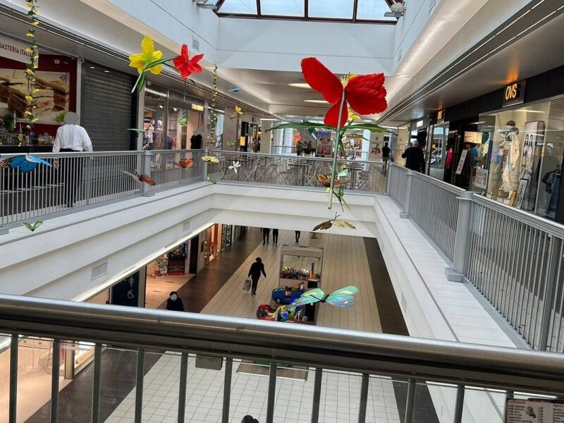 Negozio in Affitto a Torri di Quartesolo